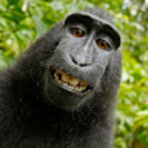 Meet your Posher, Edward